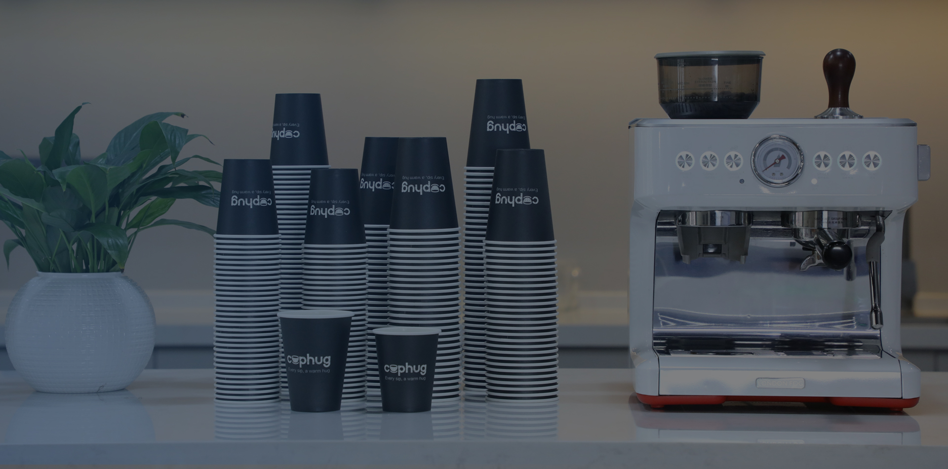 Jiangsu Marrot Biotechnology Co., Ltd.